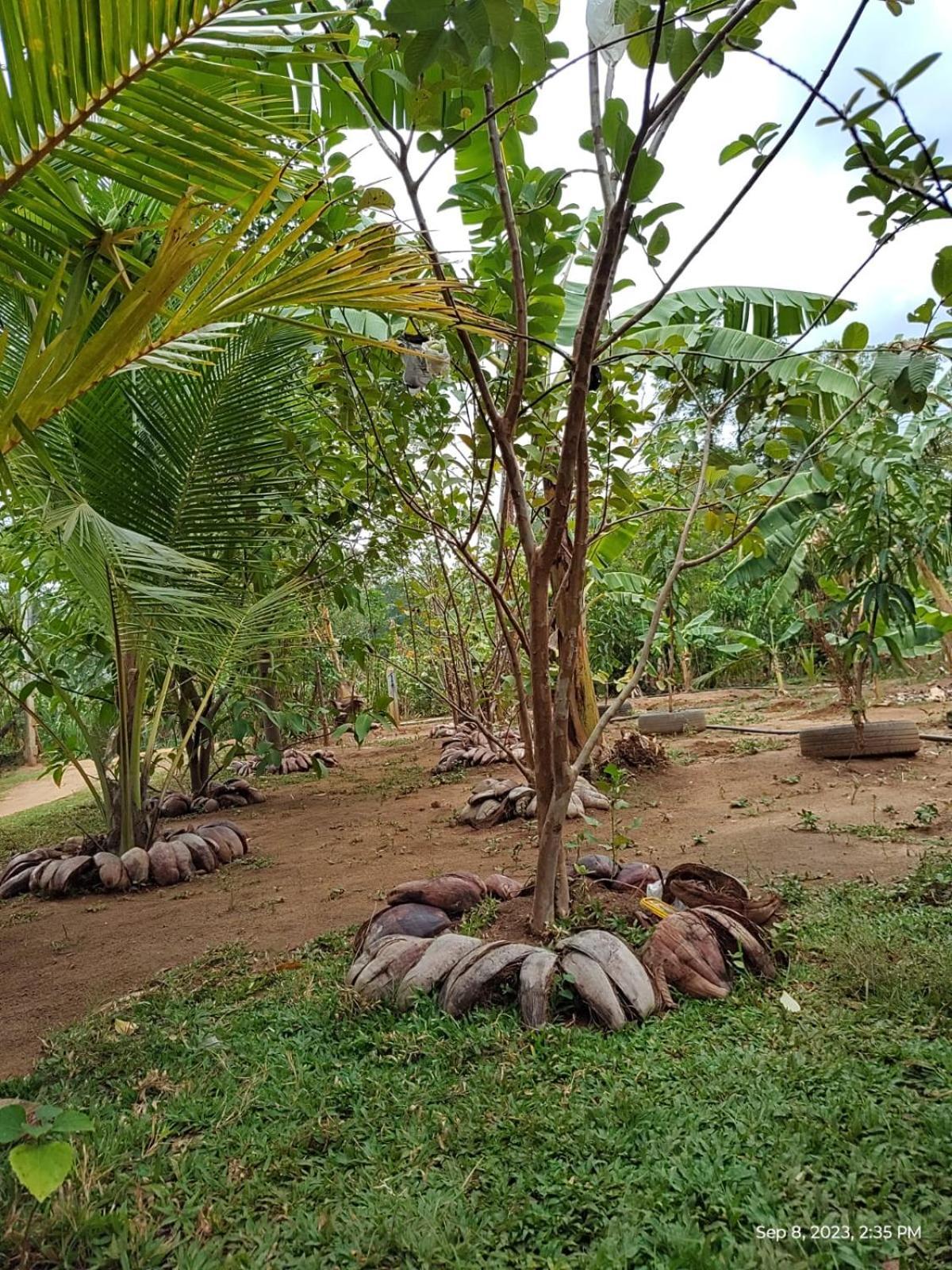 Sigiri Wild Lake Dambulla Exterior foto
